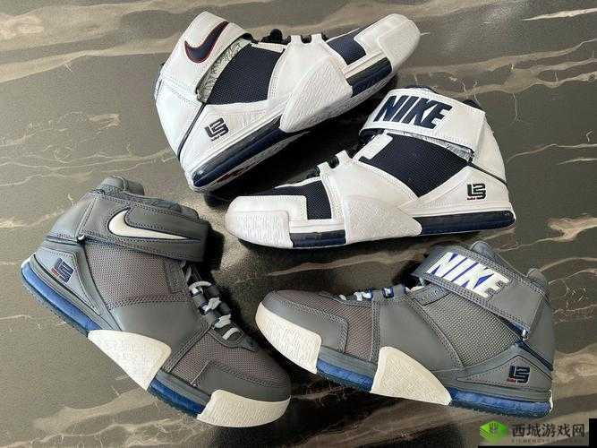 Zoom 与人性 Zoom2 区别新一代:深入探究其背后的关键差异