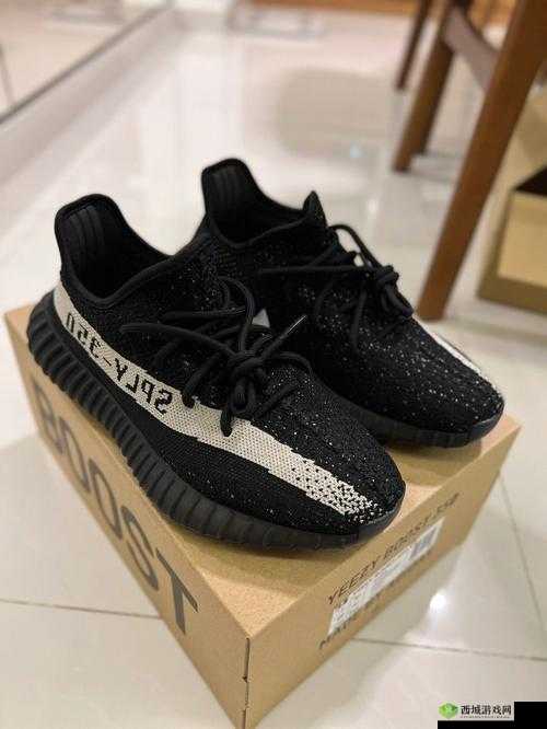 亚洲 Yeezy 官网网站:引领时尚潮流的前沿阵地