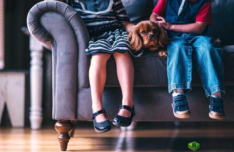 男生和女生拆拆很痛的轮滑鞋:从新手到高手的必经之路