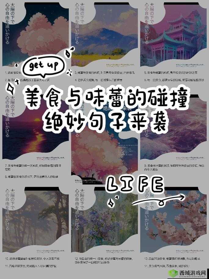 美食与契约，探索味蕾与灵魂的深度联结