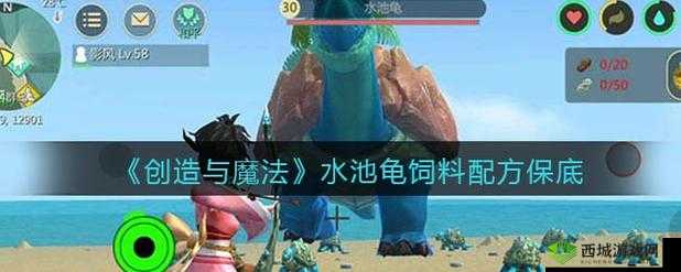 水池龟抓捕秘籍,三文鱼与鲶鱼的魔法诱惑