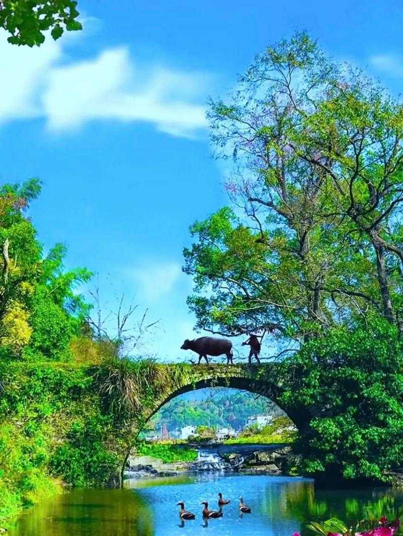 楚留香2月11日打坐秘境，云梦杏林居的坐观万象之旅