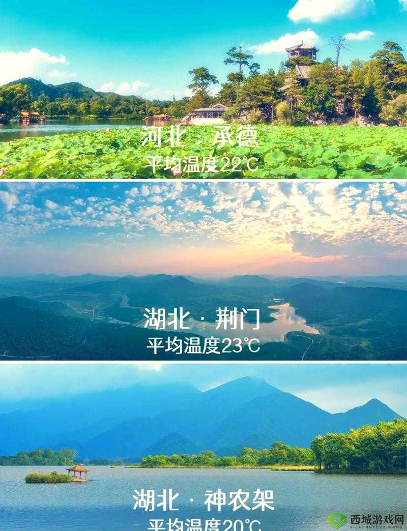 伊春园 2023 入口直达大象亲子温馨家庭游:开启幸福之旅