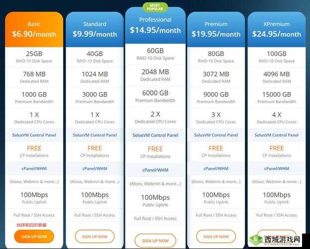 欧美 VPS 与 Windows 性能比较:云服务与本地系统的较量