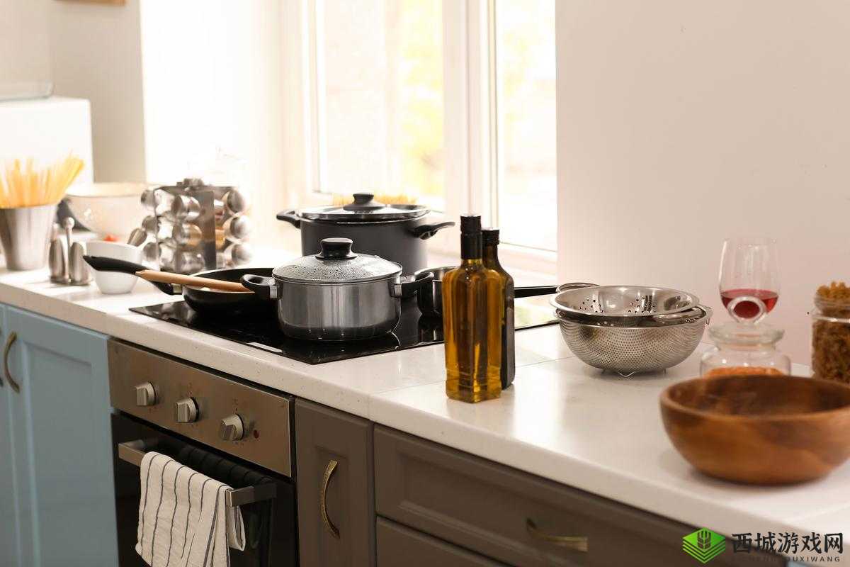 厨房索要刷碗总怎么解决:了解问题本质,寻求合理解决方案