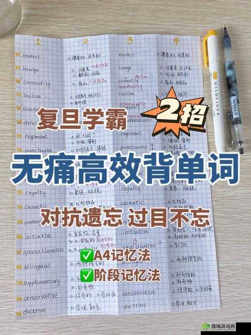 坐在学霸的大紫根上背单词:这样学习效率会更高吗