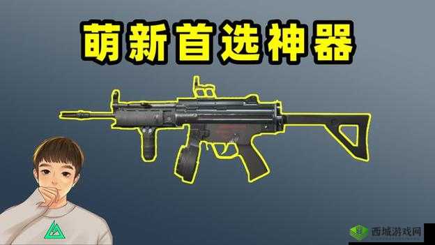 终结者2审判日新冲锋枪Vector和MP5哪个好，资源管理深度解析