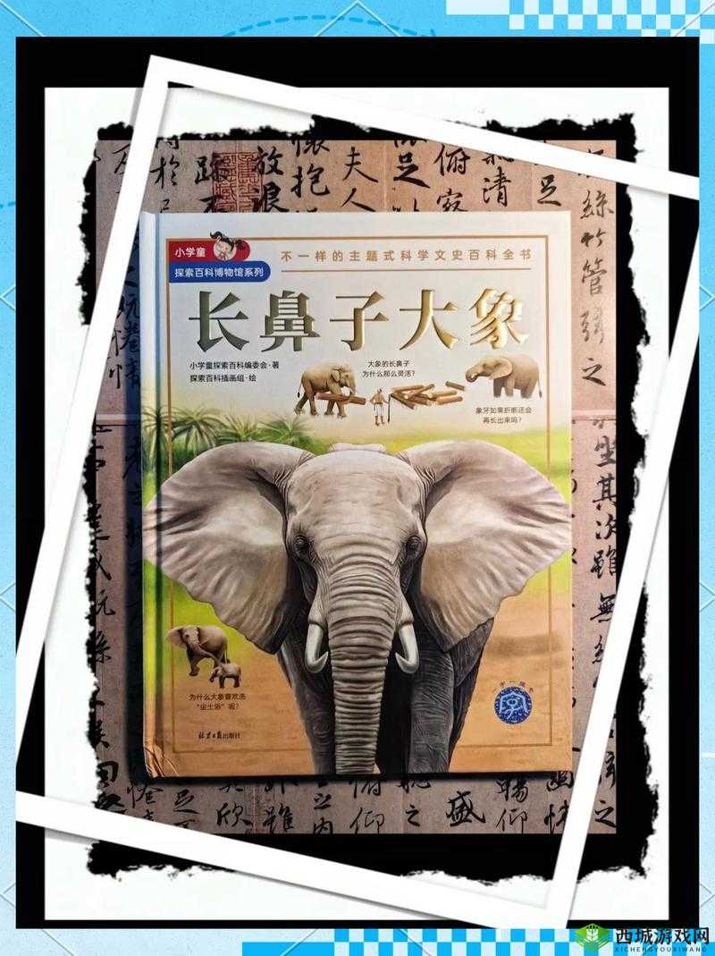 满 18 点此安全转入 2023 大象:探索未知世界的冒险之旅
