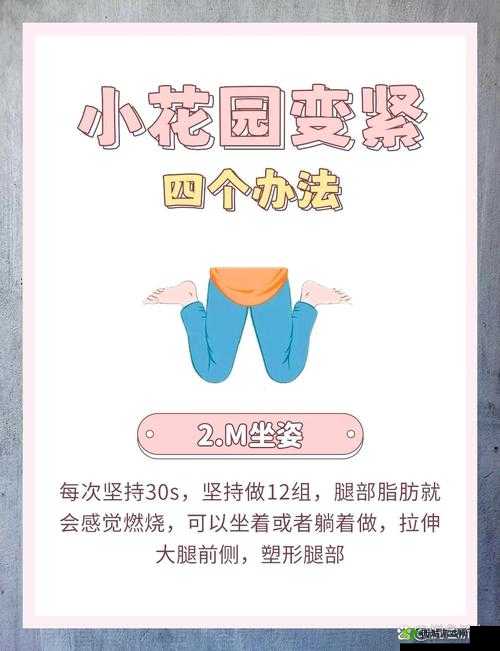 怎么紧致小花园:探索有效的花园紧致方法与技巧