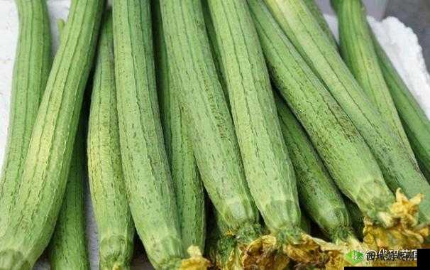 国产精品草莓香蕉榴莲丝瓜十八岁可以吃吗:探究其受欢迎的原因