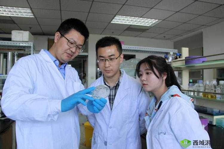 无人区编码 6229JM 观天下事之深度解读与全面分析