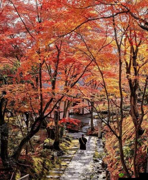 日本一线产区二线产区旅游攻略:深度体验独特风情之旅