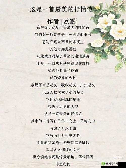 从开始慢慢的迎合中探寻别样的深意与感悟