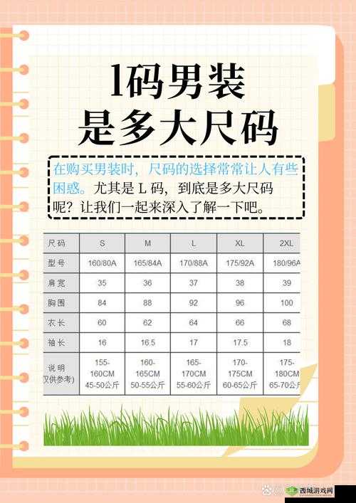 国产尺码和欧洲尺码 2024:深入对比与未来发展趋势研究