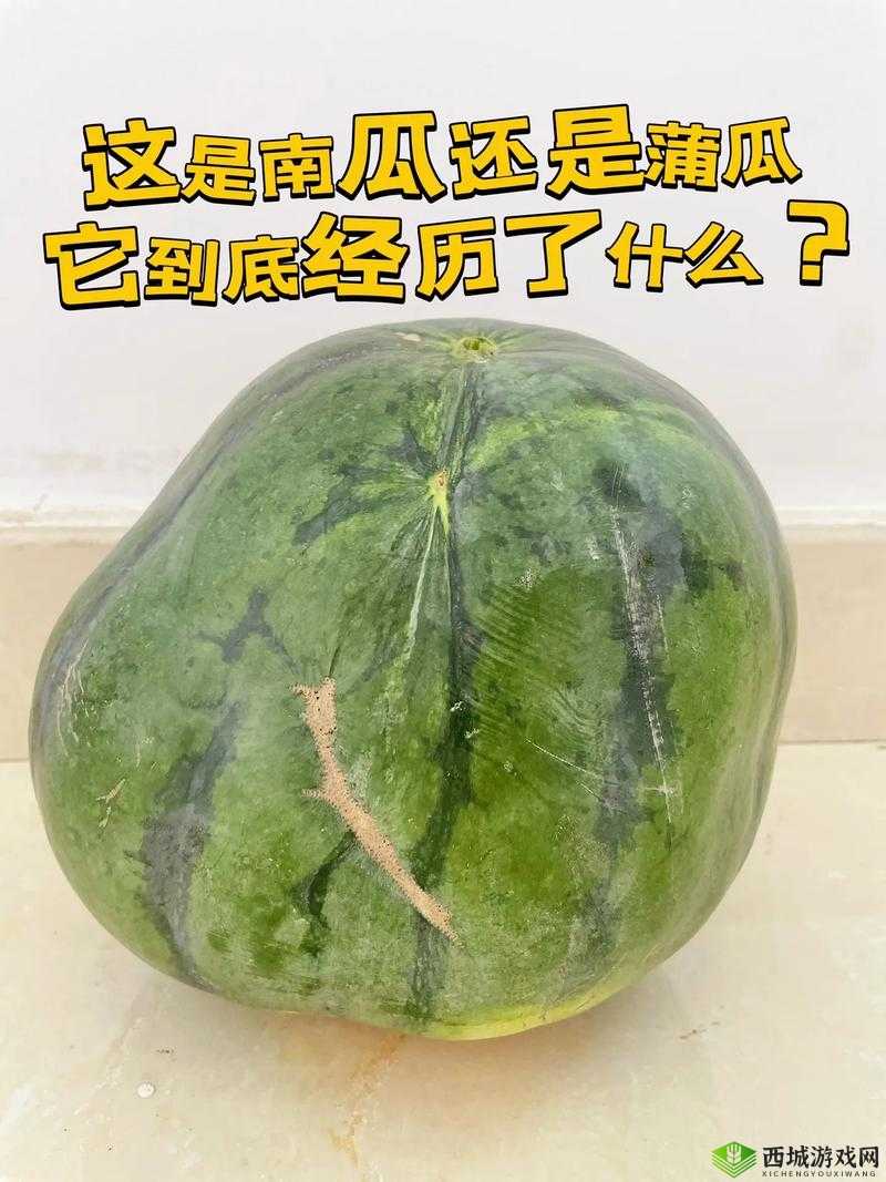 51 今日大瓜:热门大瓜往期内容,精彩不断,不容错过