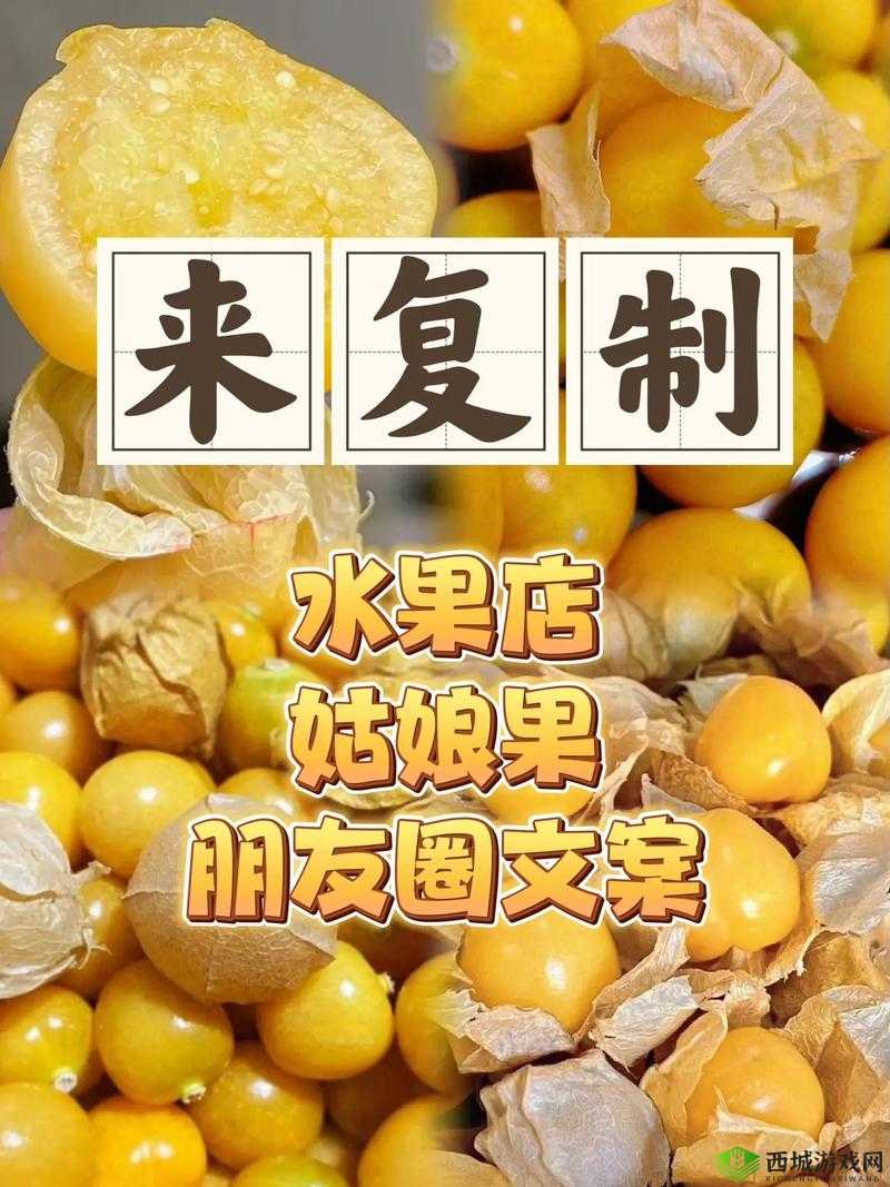 小明的妈妈和李阿姨去同一水果店:讲述她们的水果选购之旅