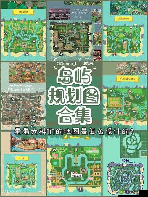 全民岛主,好友管理与岛屿探索的详尽指南