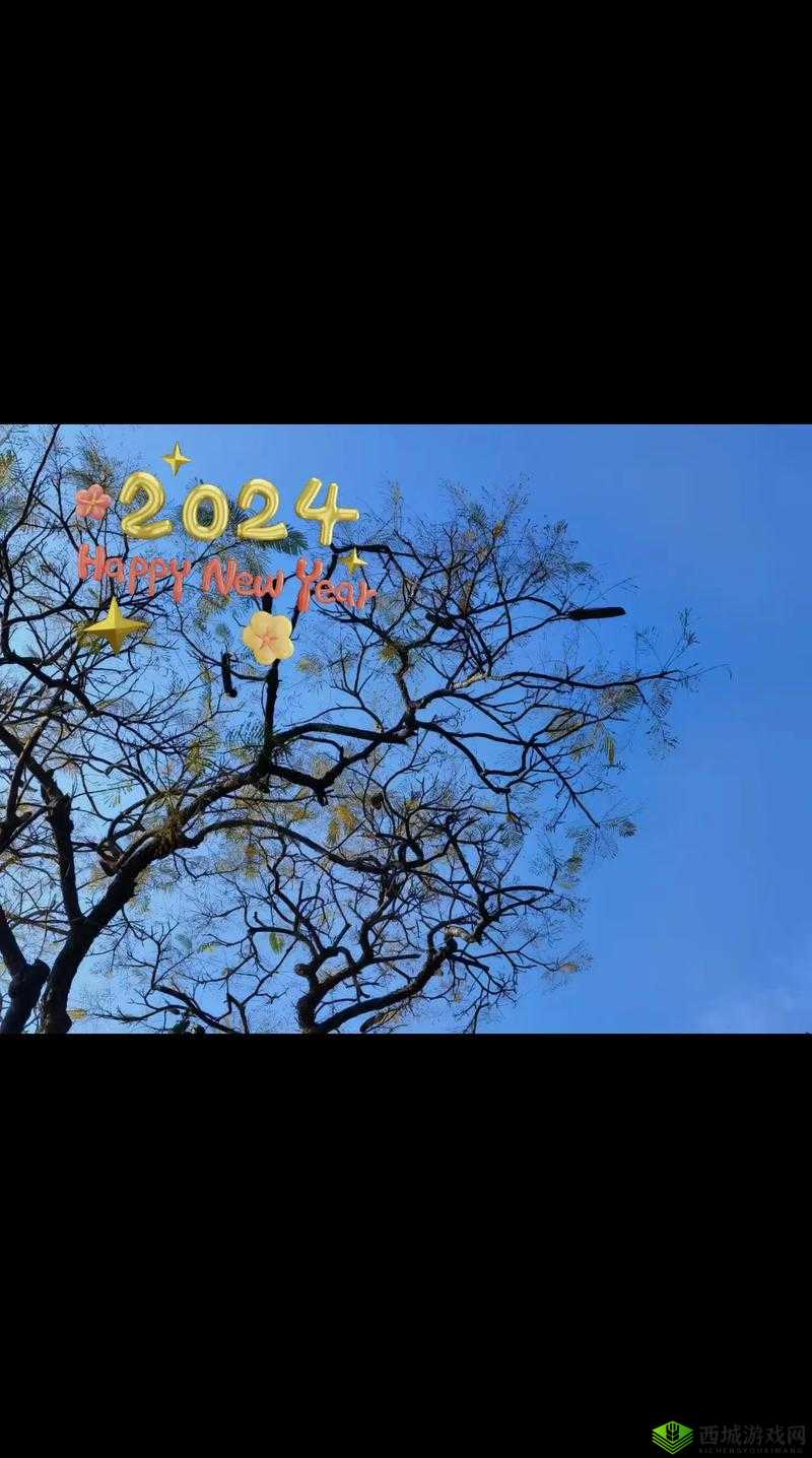 TTTZZZ 传送门 2024:开启未来之旅
