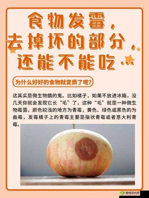小东西好几天没弄了还能吃吗:探寻食物变质的奥秘