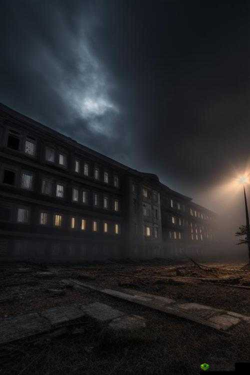 揭秘 JAGNEXSMAX 在日本的神秘面纱:背后不为人知的故事与真相