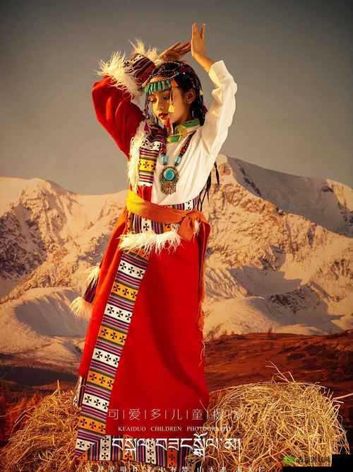 鼓蓬蓬的牦户之乐：探索藏地风情的神秘面纱