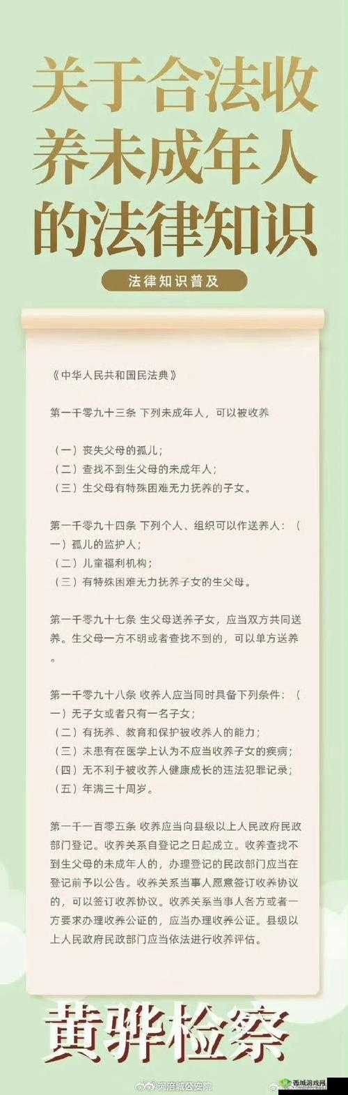 43 岁养母与 26 岁养子:跨越年龄的独特婚姻观解读