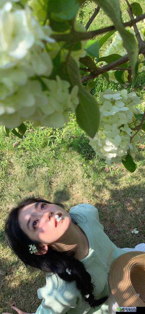 探秘欧美 MV 日韩 MV 最火的一句：揭秘这些视频的魔力之源