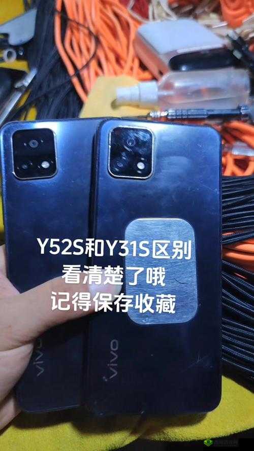 一级成色好的 y31s 标准版评测:收录超多定制视频亮点呈现