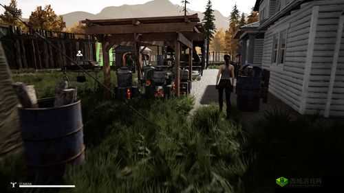 迷雾求生,在未知中探索生存的艺术