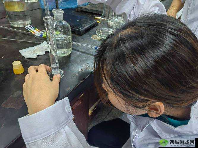 含羞草实验所隐藏 2024 之相关深入探究与全面解析