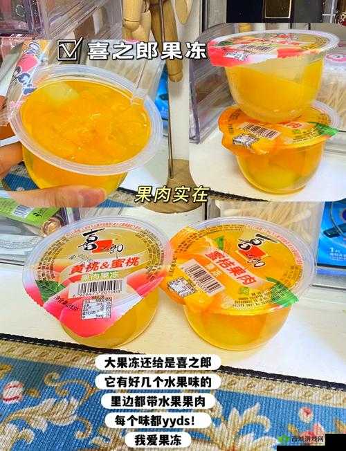 9I 果冻制作厂：打造美味与品质的典范