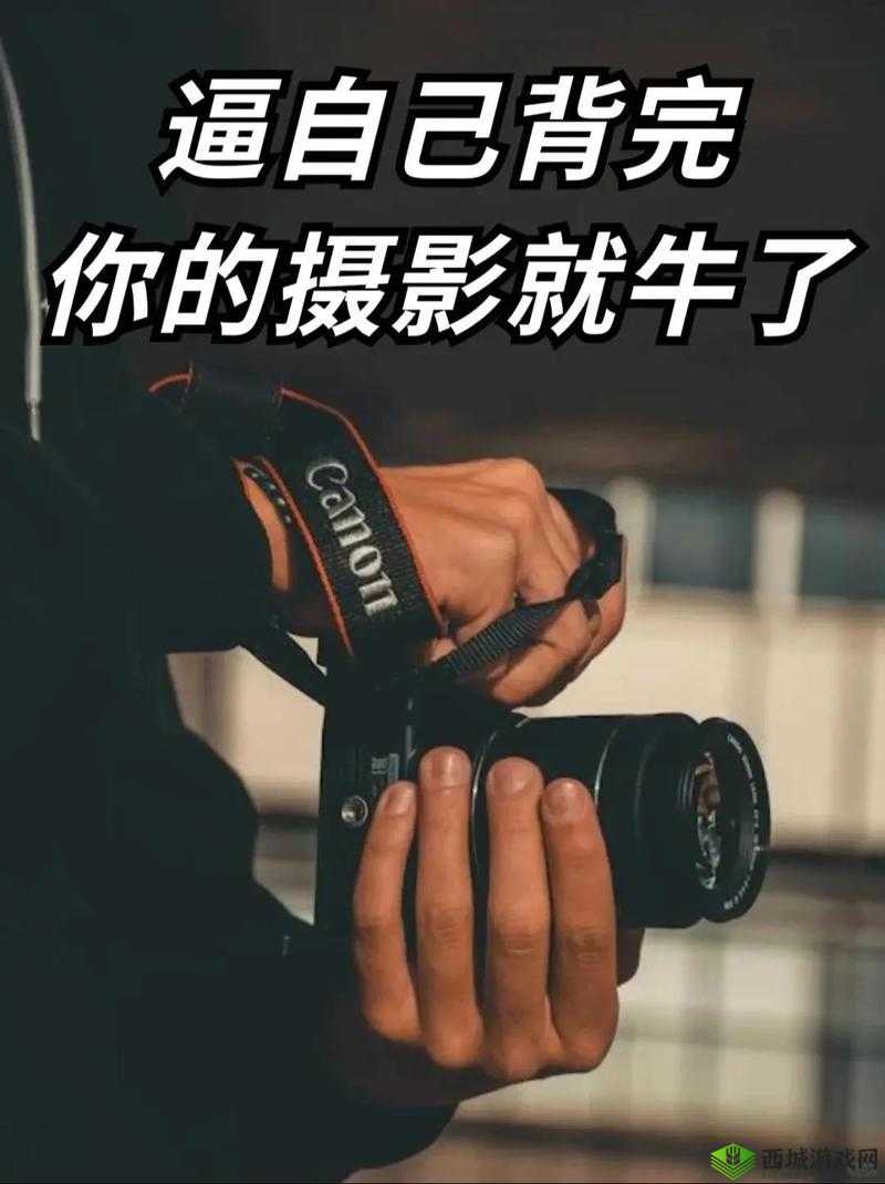 摄影艺术入门指南：从基础到进阶的全面学习宝典