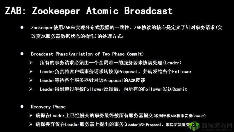 Zoom 美国 Zookeeper 是否打得开：现状探究