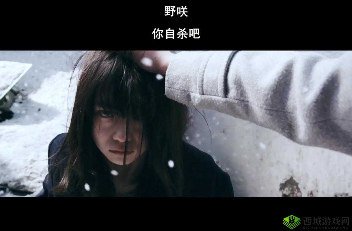 日本电影三叶草的春天:一段触动心灵的唯美之旅