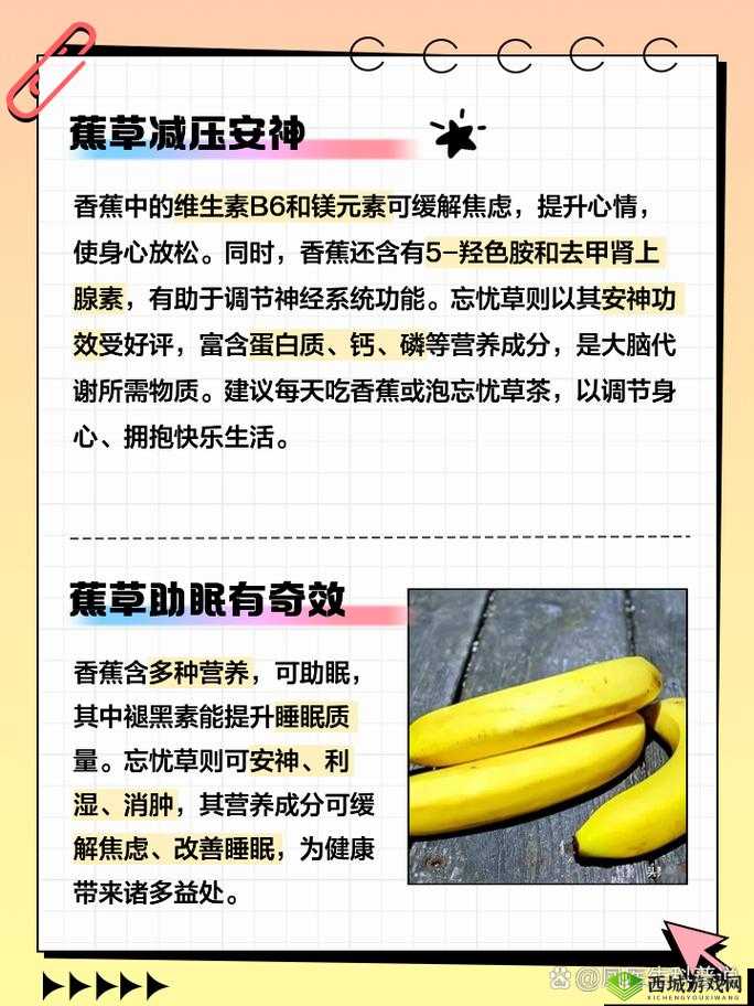 香蕉和忘忧草有何区别?带你了解它们的本质不同
