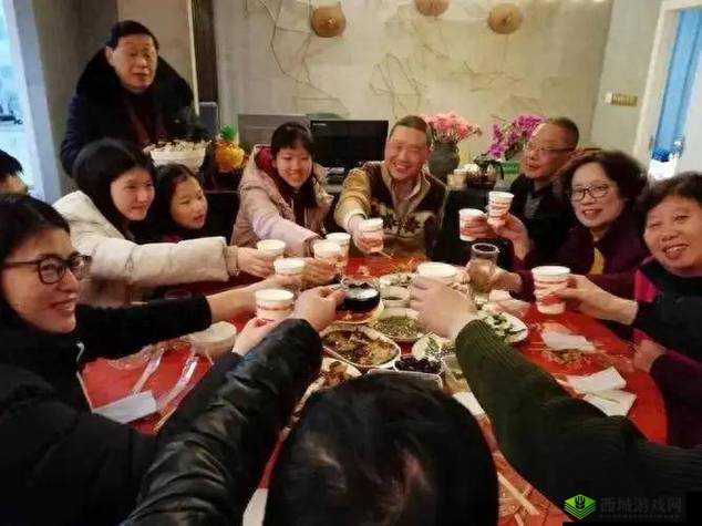 部长来家里吃饭在线看：一场特殊的家庭聚会体验