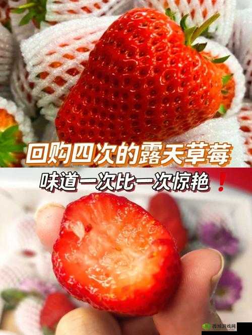 迈开腿吃草莓方法：探索独特的草莓品尝与运动结合之道