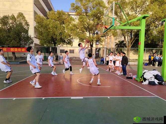 校园运动会:青春飞扬激情燃烧的热血竞技赛场