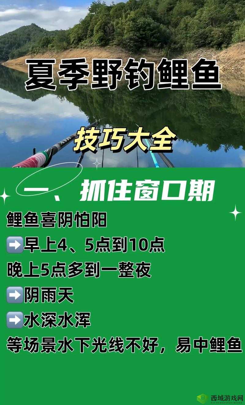 鲤鱼吸水的正确姿势:掌握技巧让效果更佳