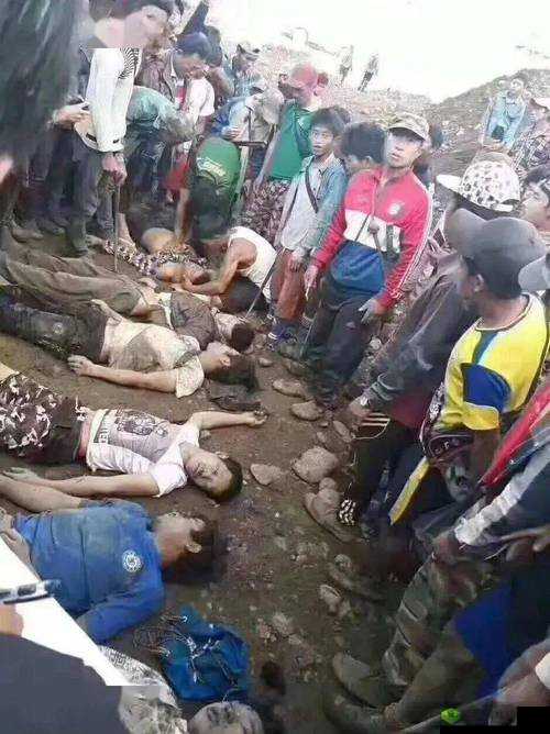 能看缅北视频的软件:带你走进真实的缅北世界