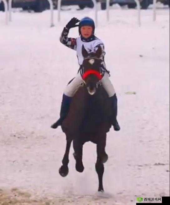 随着马儿的奔跑项弄：一段充满激情与挑战的旅程