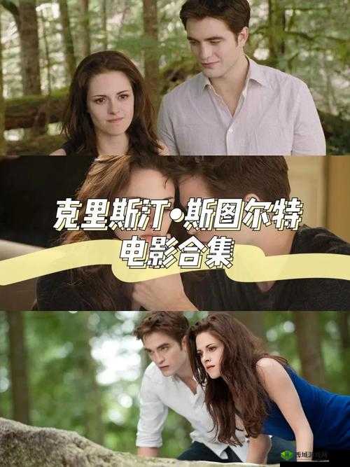 阴阳尼姑 2 免费看：快来体验精彩影视内容不容错过