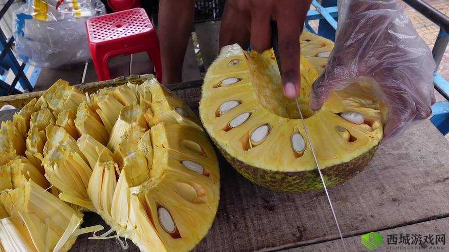 菠萝菠萝蜜视频免费看 5:探索神秘世界的奇妙之旅