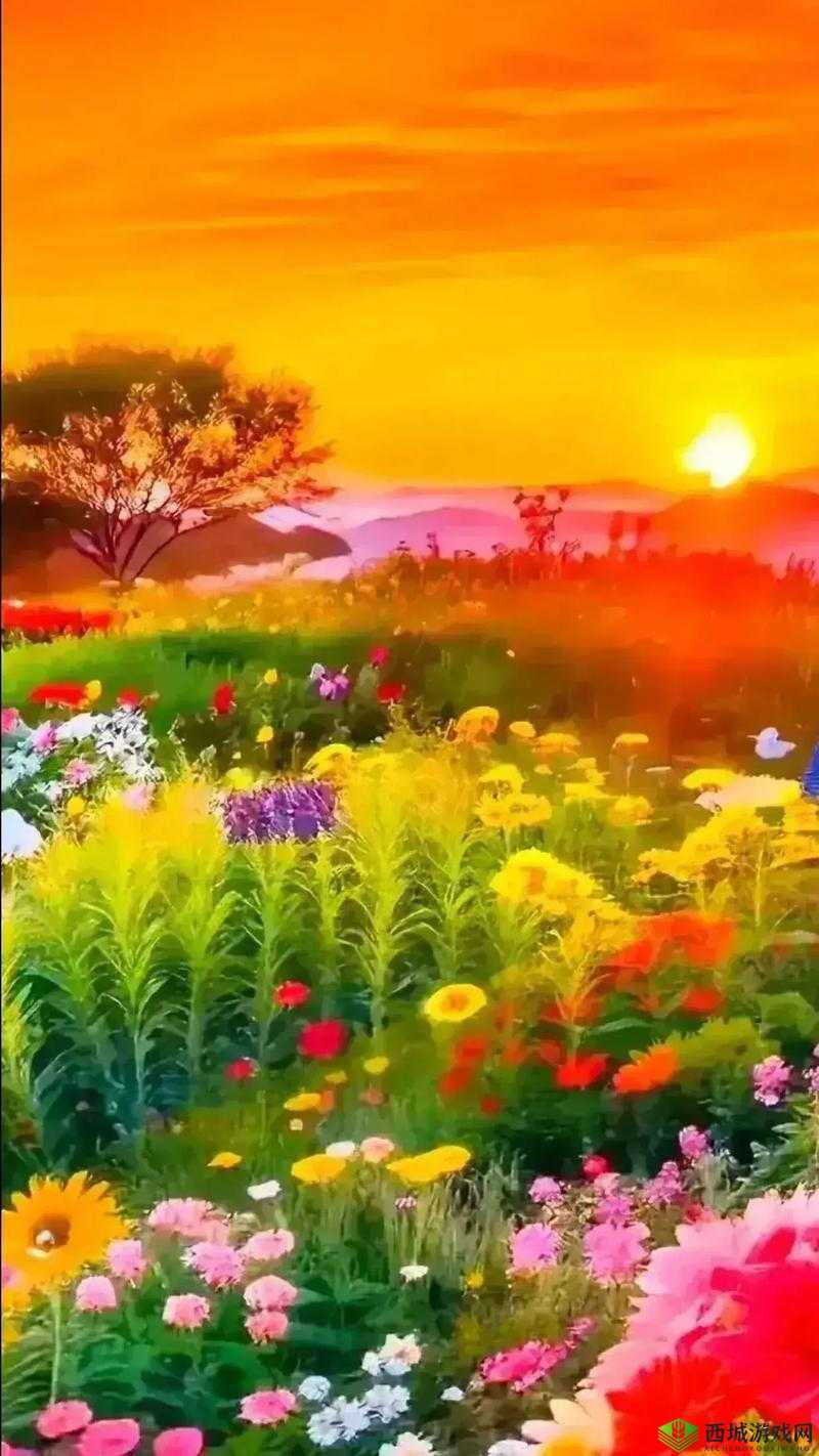 野花视频免费观看在线播放 1:邂逅大自然的美丽馈赠