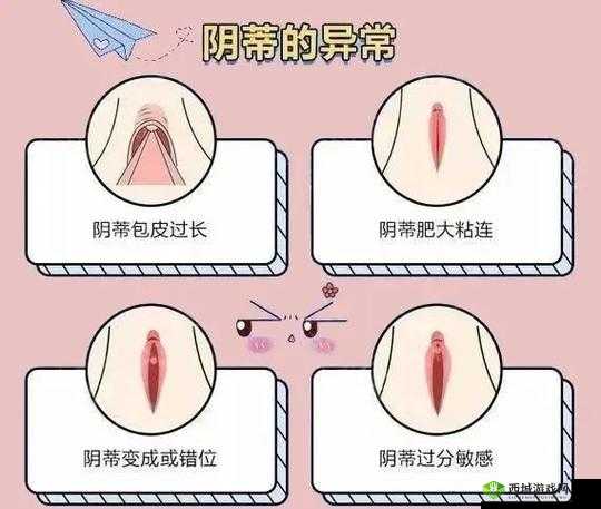 蜜桃皇后私密紧致效果如何:深度解析其真实表现