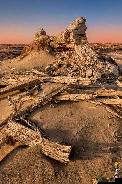 海角侄子:探究真相的勇敢者之路