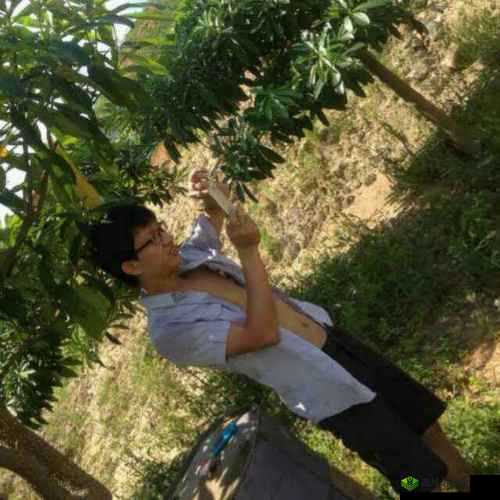 呆哥兰兰在线视频:带你领略别样精彩世界