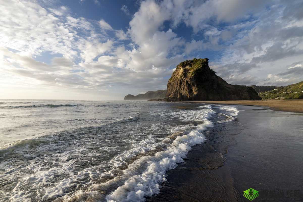 37 大但人文 Limited:探索独特人文魅力的新视角