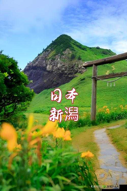 日本薍伦×××50 路:探寻别样风情之旅