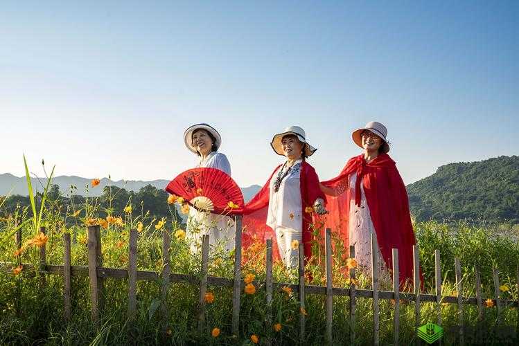 畅享免费完整国语的精彩之旅：gogogo 免费完整国语等你来